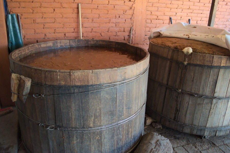 Meksyk - wytwórnia Mezcalu