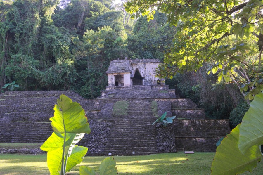 Meksyk - Park Narodowy Palenque - ruiny miasta Majów