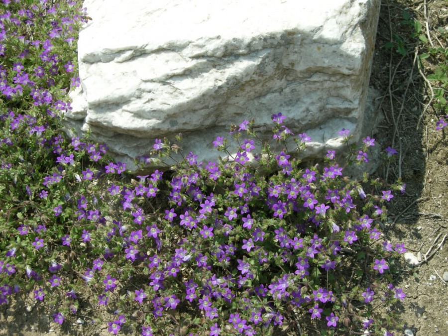 Grecja - Korynt